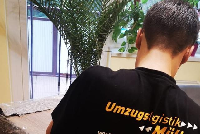 Behördenumzug Preise und Kosten Mügeln