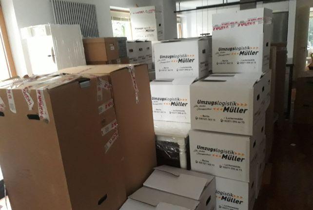 Labor Umzug preise erfahren in Mügeln